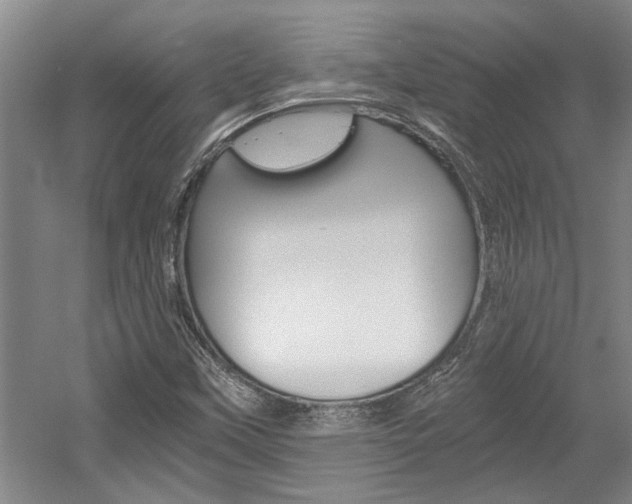 X0000058761451200509300801