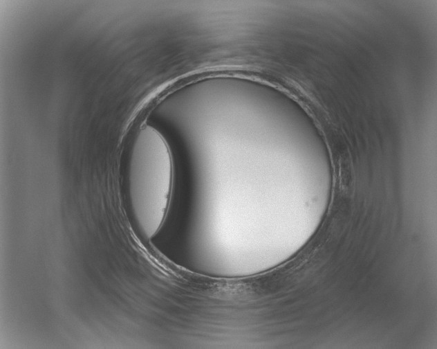 X0000058761452200509300801