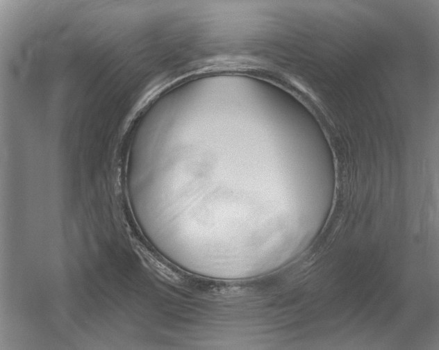 X0000058761459200509300801