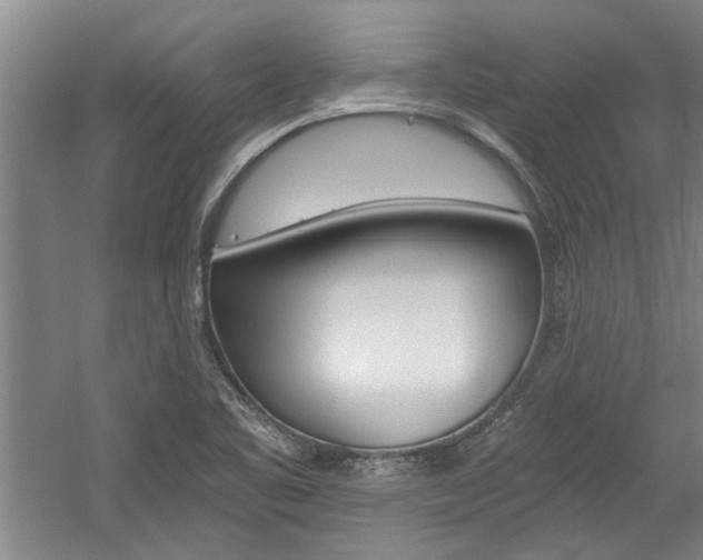 X0000058761461200509300801