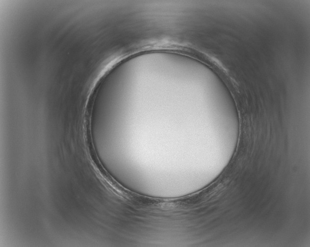 X0000058761463200509300801