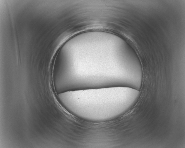X0000058761467200509300801