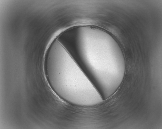X0000058761472200509300801