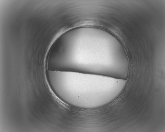 X0000058761475200509300801