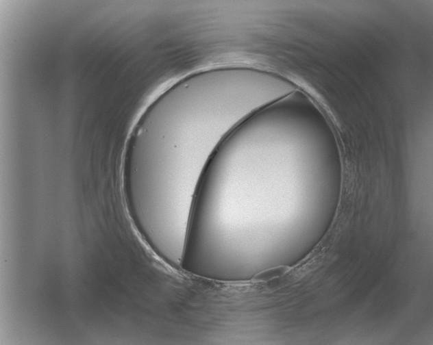 X0000058761477200509300801