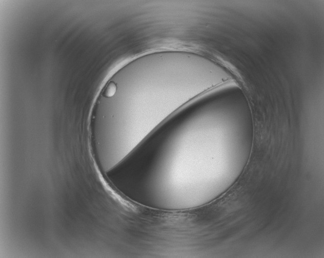 X0000058761479200509300801