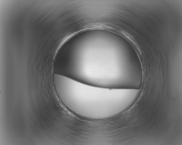 X0000058761481200509300801