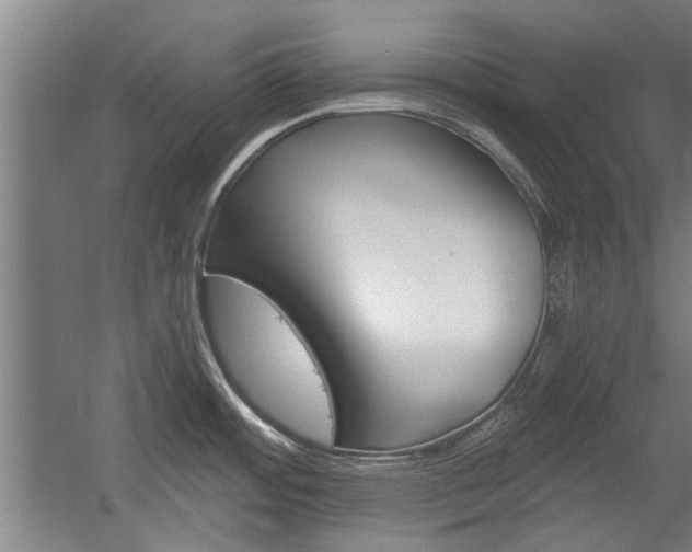 X0000058761484200509300800