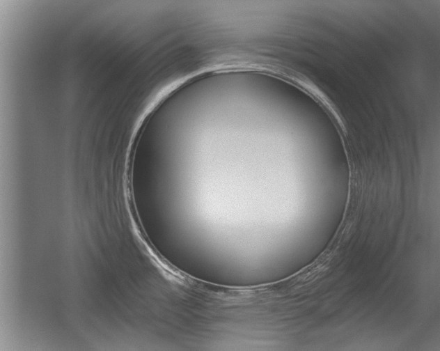 X0000058761485200509300800