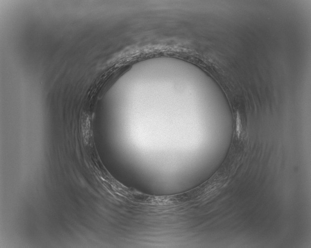 X0000058761492200509300800