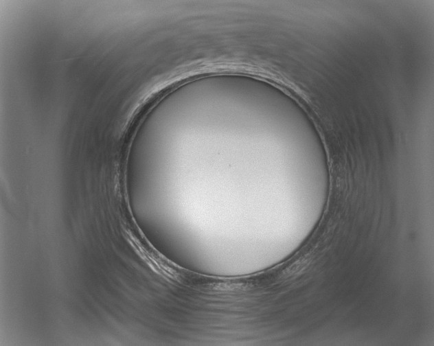 X0000058761499200509300800