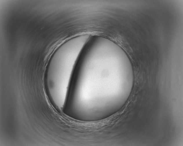 X0000058760001200509301030