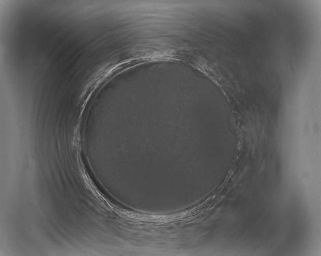 X0000058760002200509301030