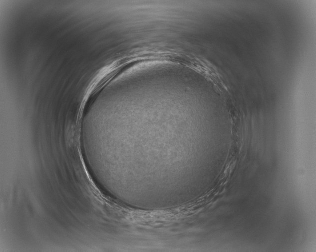 X0000058760003200509301030