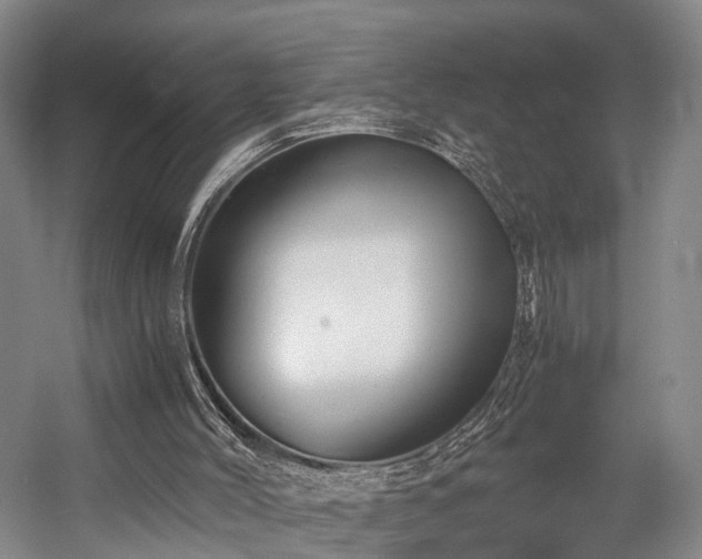X0000058760004200509301030