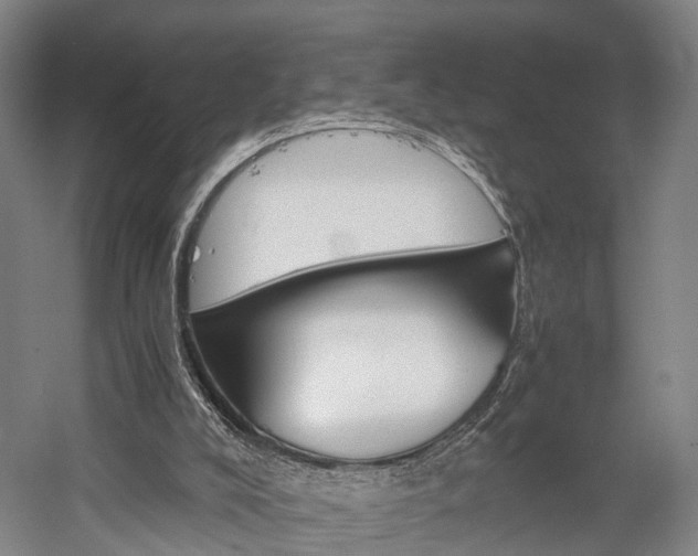 X0000058760008200509301030