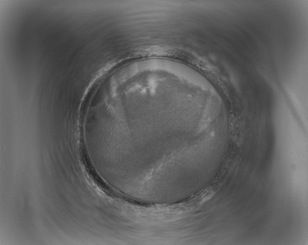 X0000058760012200509301030