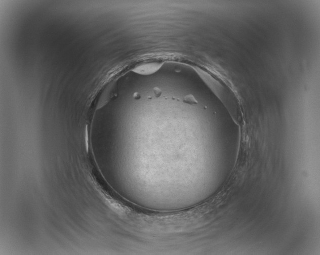 X0000058760013200509301030