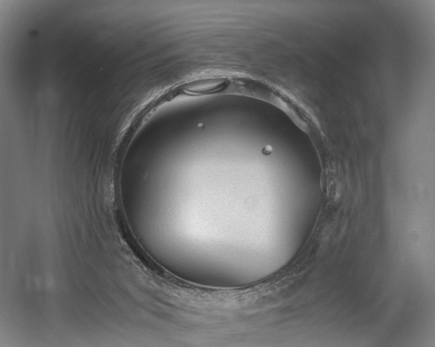 X0000058760015200509301030