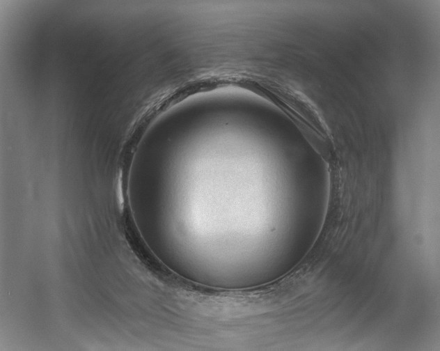 X0000058760020200509301030