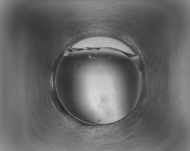 X0000058760021200509301030