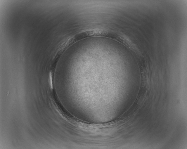 X0000058760022200509301030