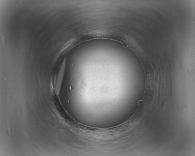 X0000058760024200509301029