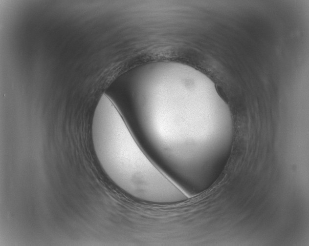 X0000058760029200509301029