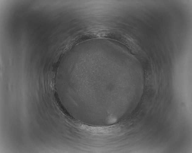 X0000058760030200509301029