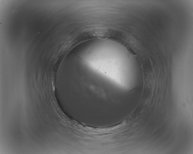 X0000058760031200509301029