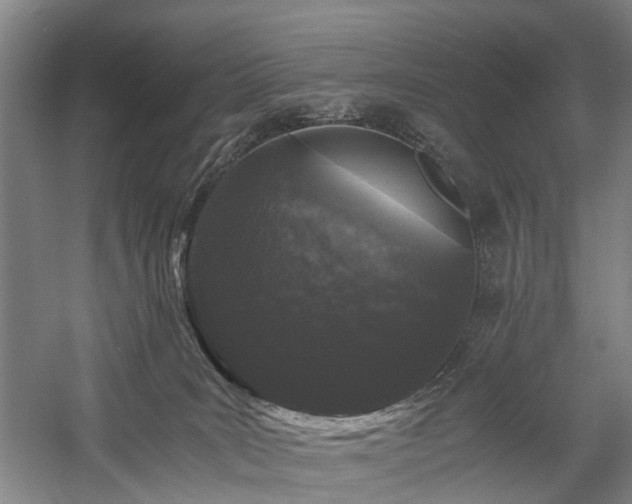 X0000058760035200509301029