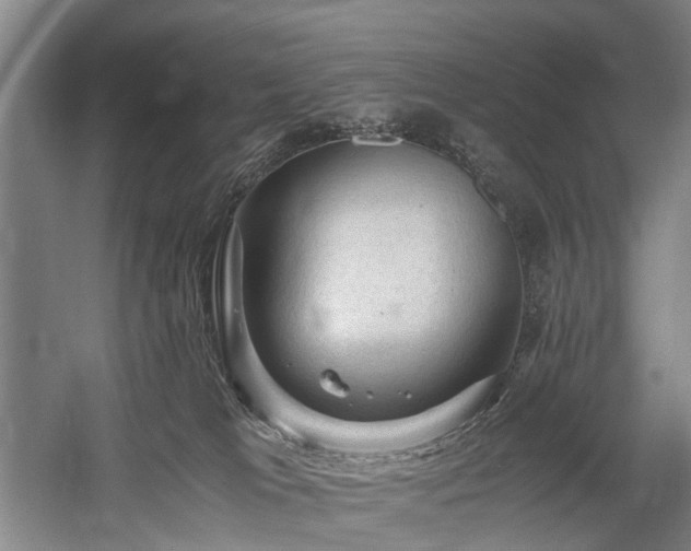 X0000058760037200509301029