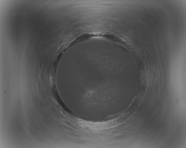 X0000058760039200509301029