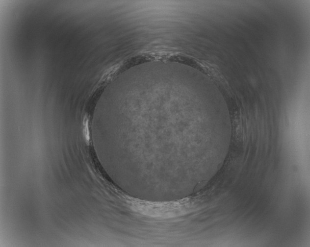 X0000058760042200509301029