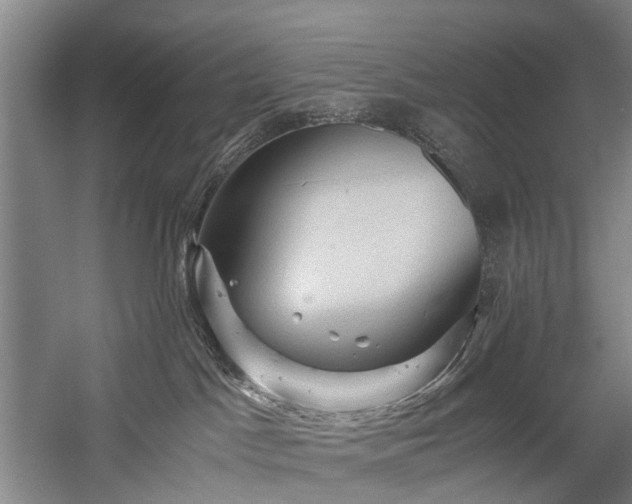 X0000058760045200509301029