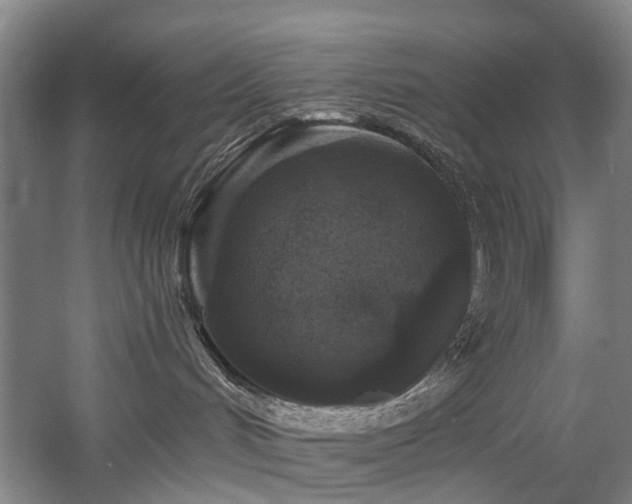 X0000058760048200509301029