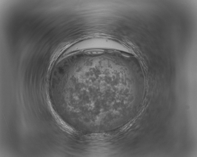 X0000058760049200509301028