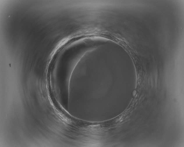 X0000058760054200509301028