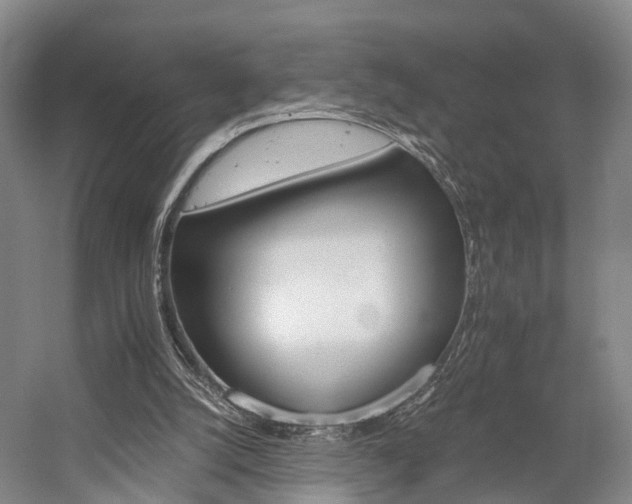 X0000058760056200509301028