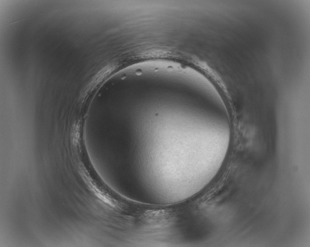 X0000058760057200509301028