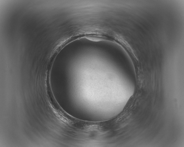 X0000058760058200509301028