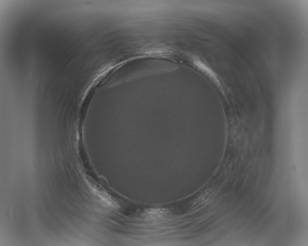 X0000058760059200509301028