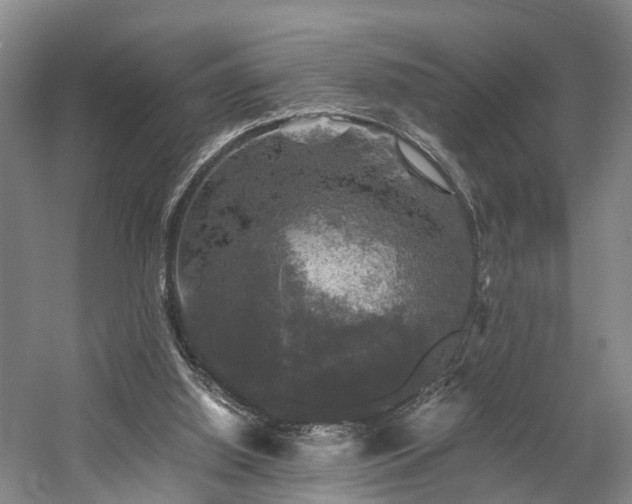 X0000058760060200509301028