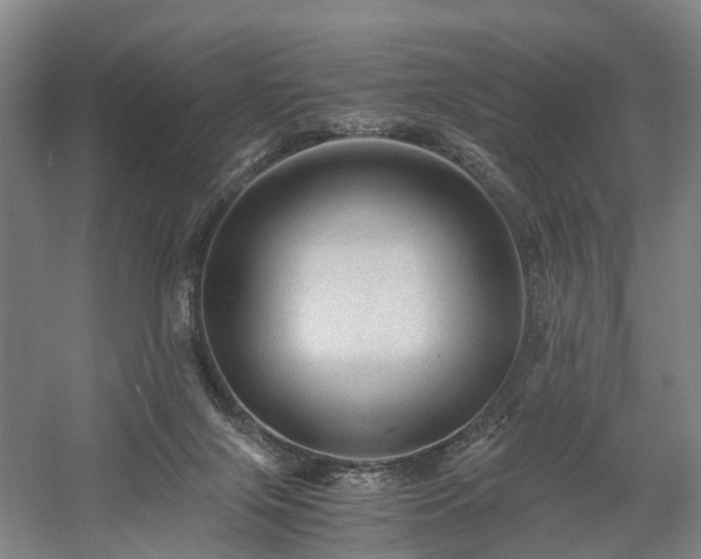 X0000058760071200509301029