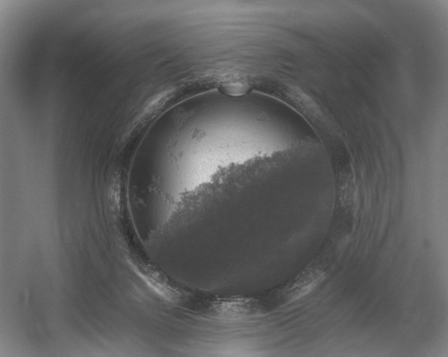 X0000058760072200509301029
