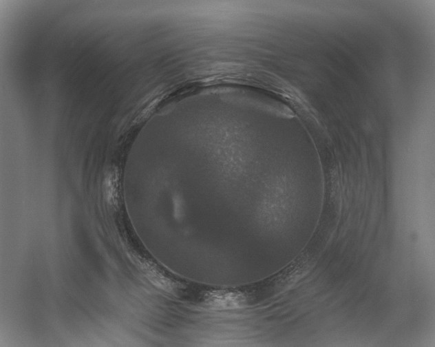 X0000058760073200509301029