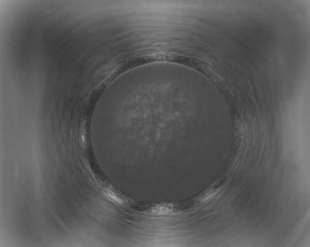 X0000058760080200509301029