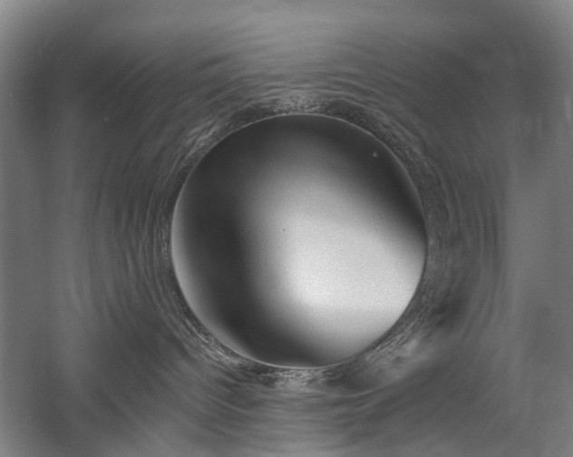 X0000058760096200509301029