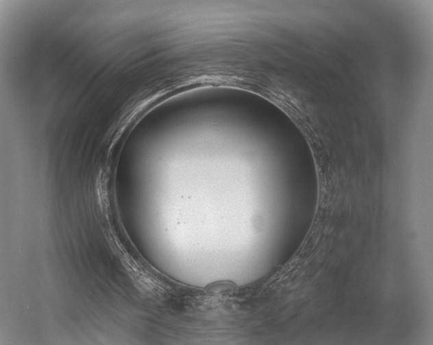 X0000058760098200509301028