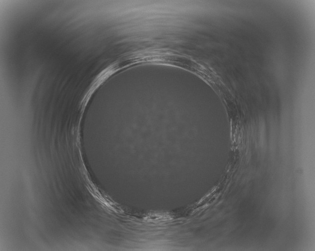 X0000058760099200509301028